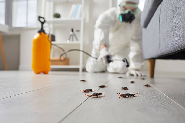 Commercial Kitchen Cockroach Control in Aubrey